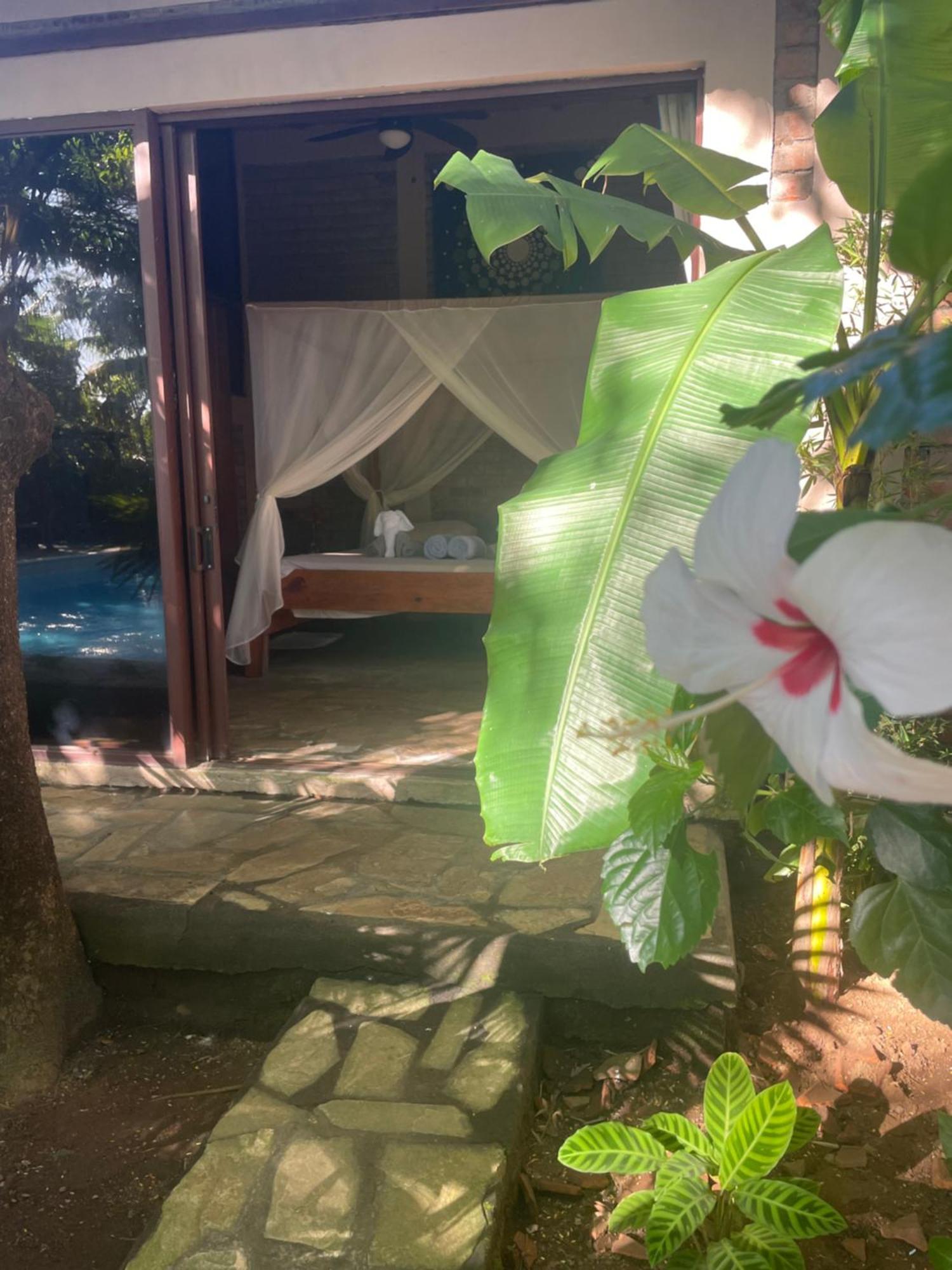 Hostal Casa Abierta León Exteriör bild